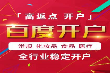 网络推广竞价策略解析与应用案例